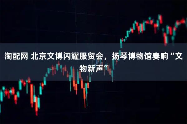 淘配网 北京文博闪耀服贸会，扬琴博物馆奏响“文物新声”