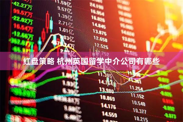 红盘策略 杭州英国留学中介公司有哪些