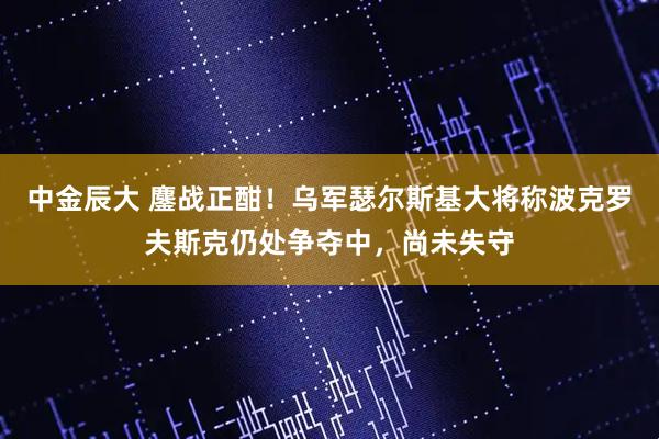 中金辰大 鏖战正酣!乌军瑟尔斯基大将称波克罗夫斯克仍处争夺中,尚未失守